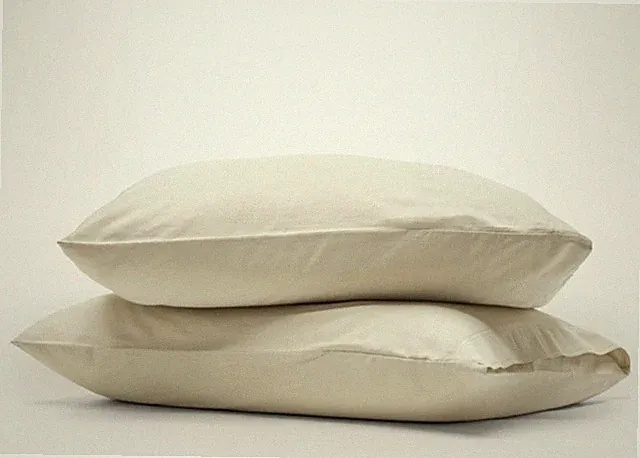 NWOT $79 BOLL & BRANCH Signature Vintage Washed Pillowcase SET Sand KING
